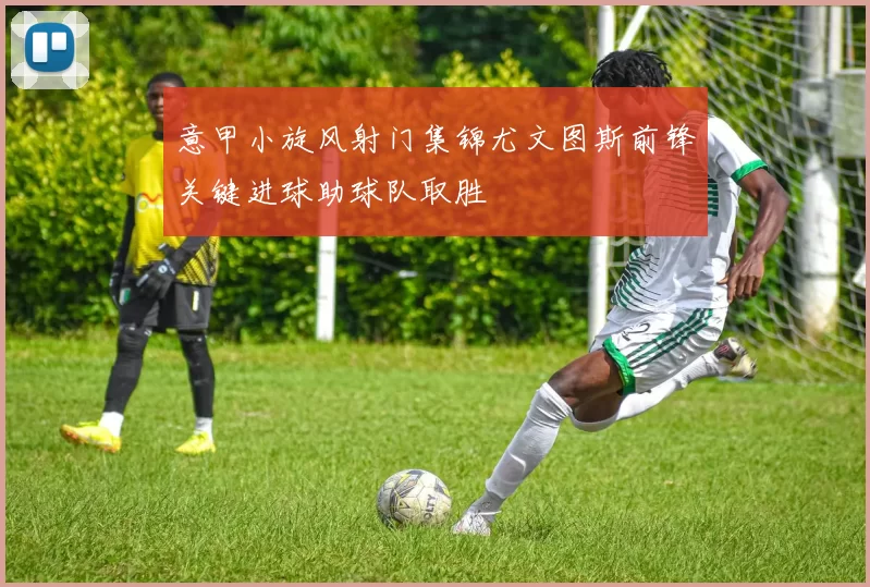 意甲小旋风射门集锦尤文图斯前锋关键进球助球队取胜