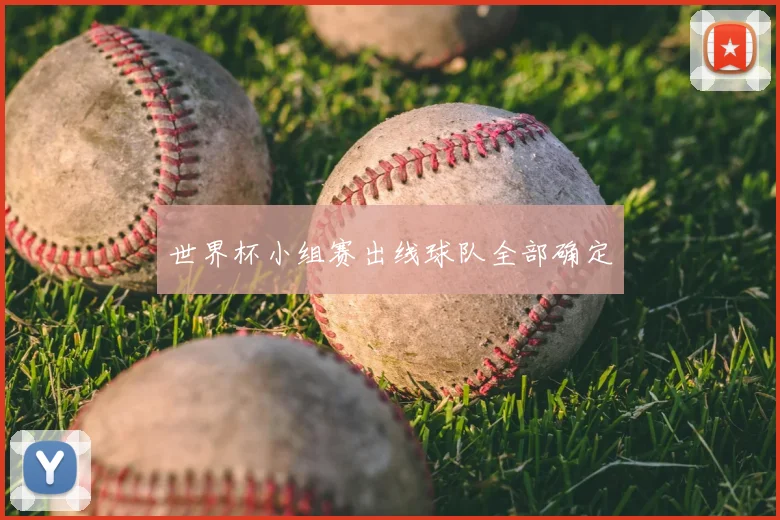 世界杯小组赛出线球队全部确定